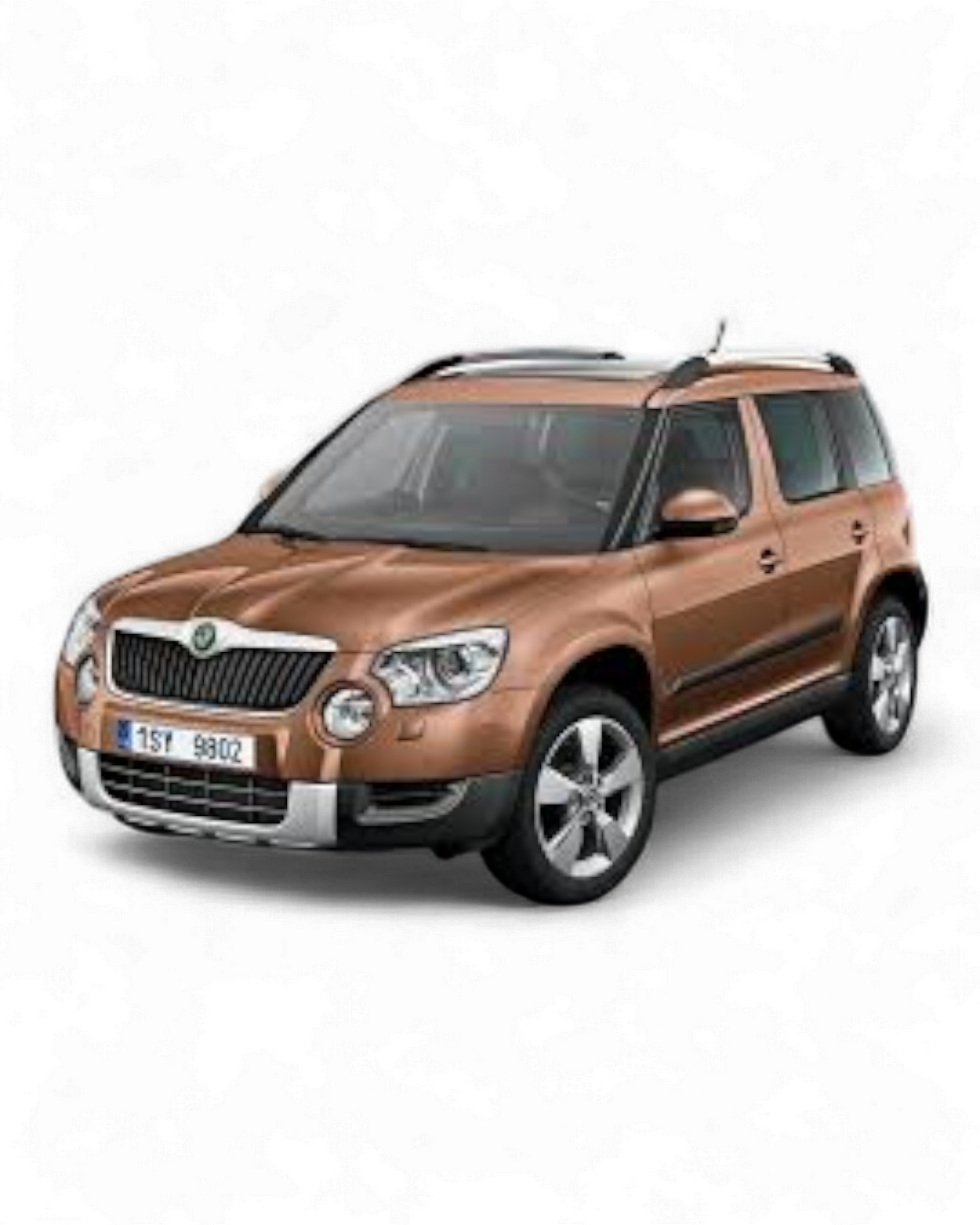 Yeti 2009-